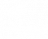 vegan-friendly-icon